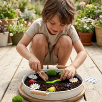 Mini Beasts Sensory Kit