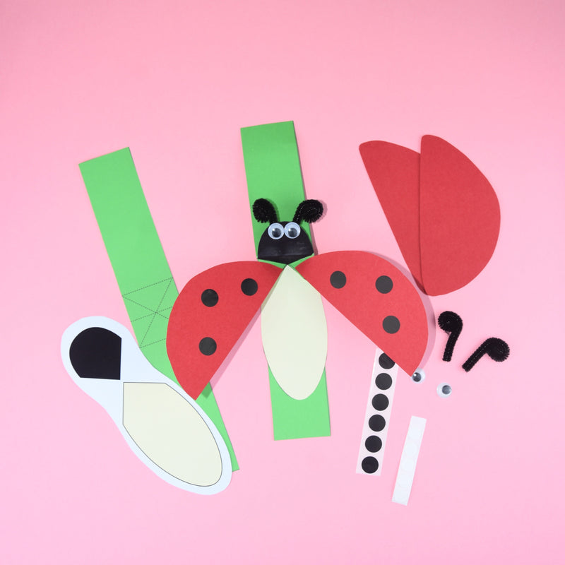 Mini Beasts Project Kit