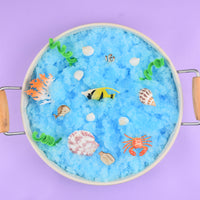 Ocean Sensory Kit