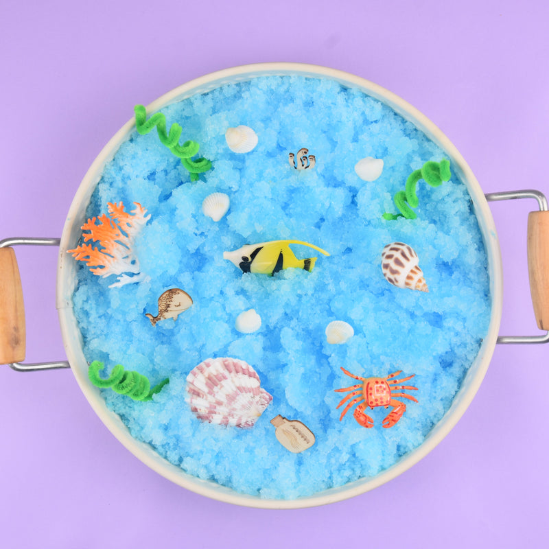 Ocean Sensory Kit