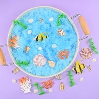 Ocean Sensory Kit
