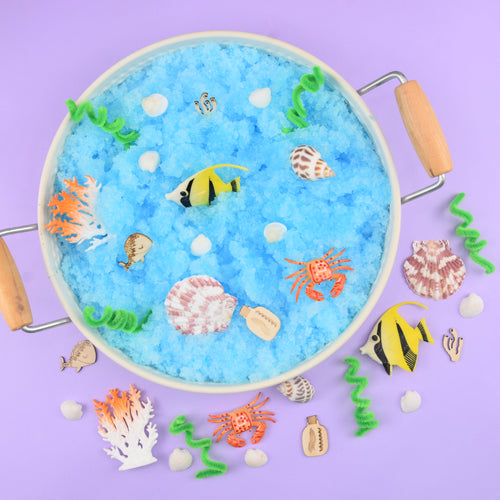 Ocean Sensory Kit