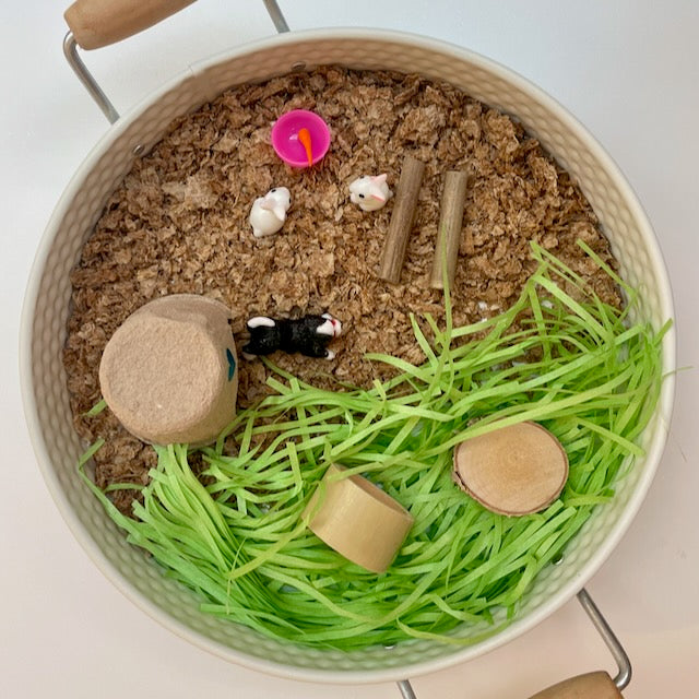 Pets Sensory Kit
