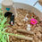 Pets Sensory Kit
