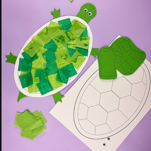 Ocean Project Kit