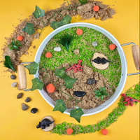 Dino Sensory Kit