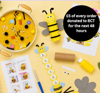 Bee Activity Kit