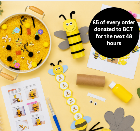 Bee Activity Kit