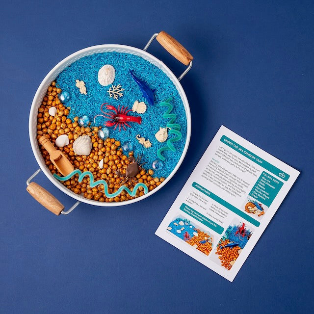 Under the Sea Activity Kit