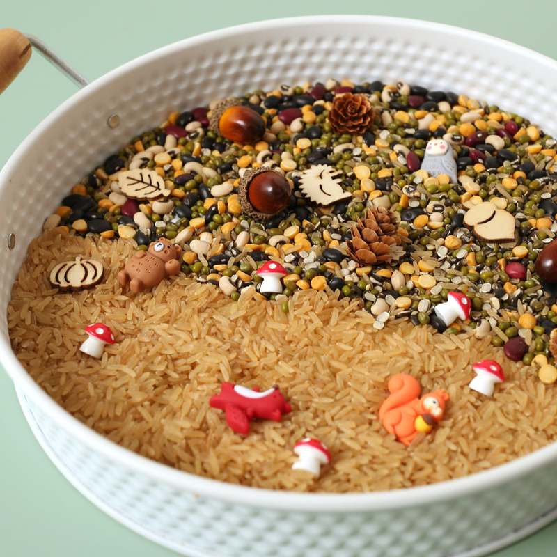 Woodland sensory play craft box with rice, beans, pinecones, acorns, and woodland animals – fun kids crafts and activities.