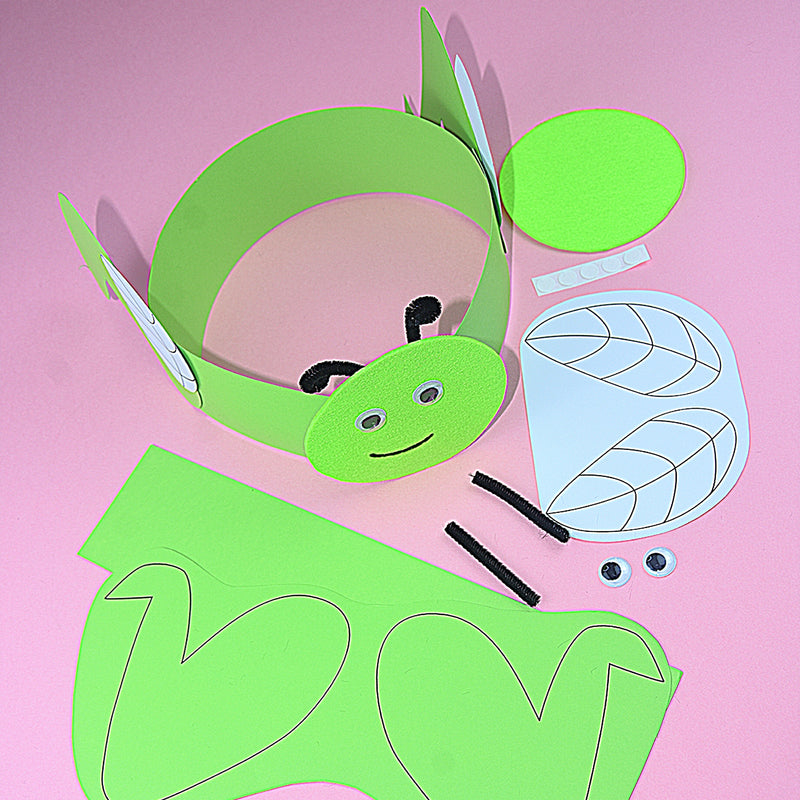 Mini Beasts Project Kit