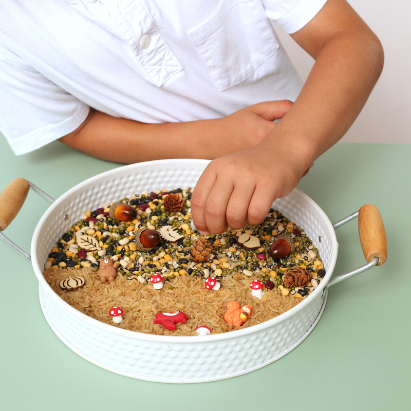 woodland sensory tray for sensory play with a child's hand , perfect activity for SEN kids  