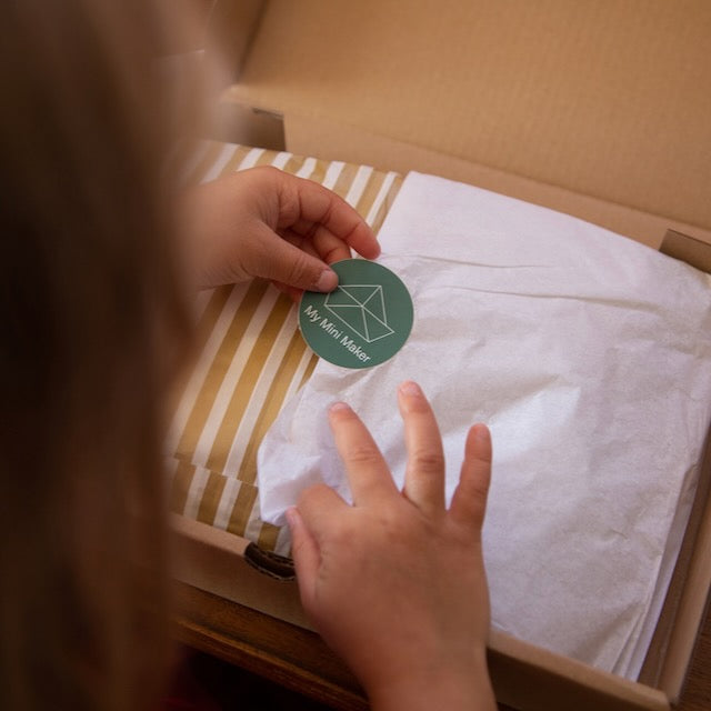 Monthly boxes for kids from My Mini Maker with crafts for kids