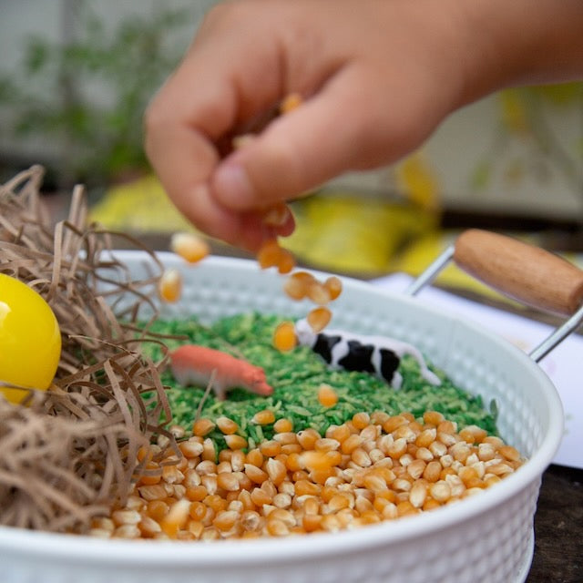 farm sensory kit
