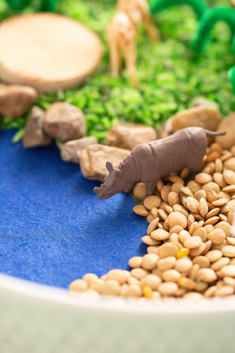 Safari Sensory Kit