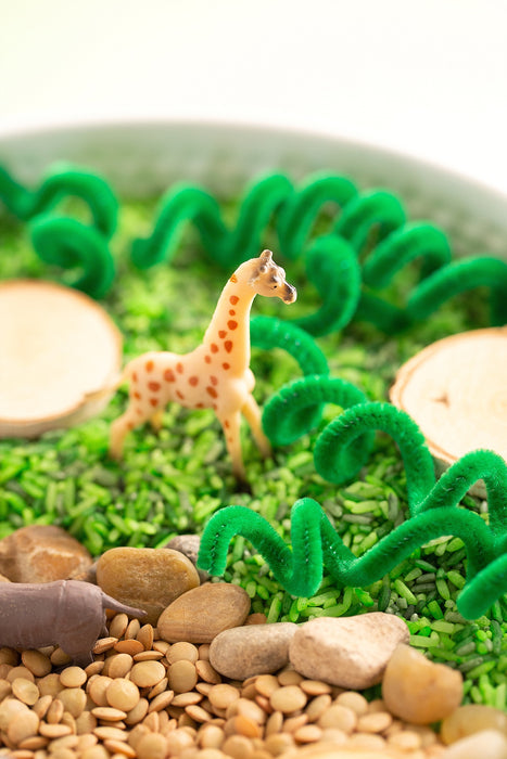 Safari Sensory Kit